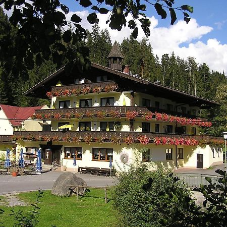 Gasthof Muehle - Natur- & Wanderhotel Rinchnach Exterior photo